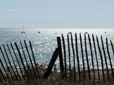 Cliquez pour découvrir toutes les photos de l'ÉTABLISSEMENT ! camping De Brouel photo 13