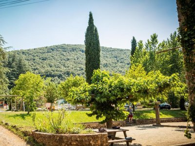 camping Flower Aloha Club photo 10