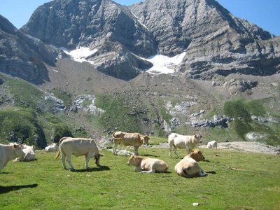 Cliquez pour découvrir toutes les photos de l'ÉTABLISSEMENT ! camping Du Lac photo 24
