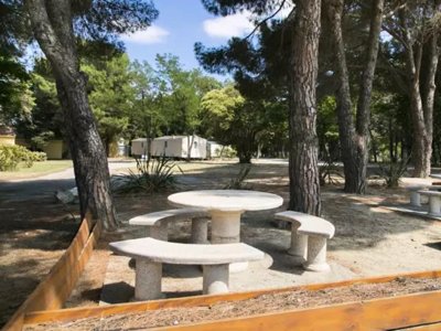 Cliquez pour découvrir toutes les photos de l'ÉTABLISSEMENT ! camping Les Abricotiers photo 15