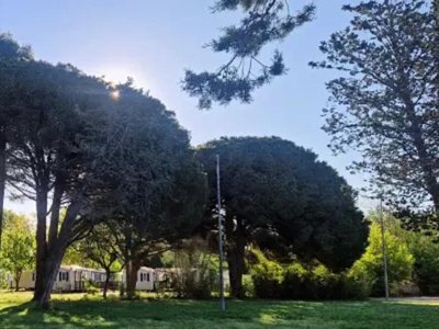 Cliquez pour découvrir toutes les photos de l'ÉTABLISSEMENT ! camping Les Abricotiers photo 20