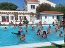 Cliquez pour découvrir toutes les photos de l'ÉTABLISSEMENT ! camping Maeva Club Argelès Vacances photo 9