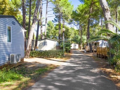 camping Taxo Les Pins photo 18