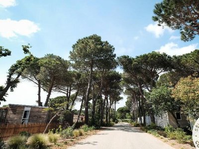 camping Taxo Les Pins photo 21