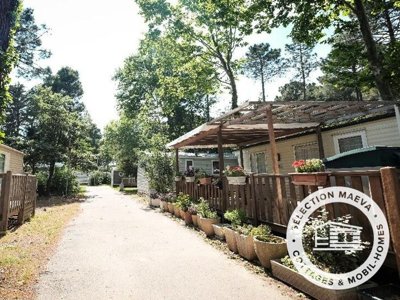 camping Taxo Les Pins photo 23
