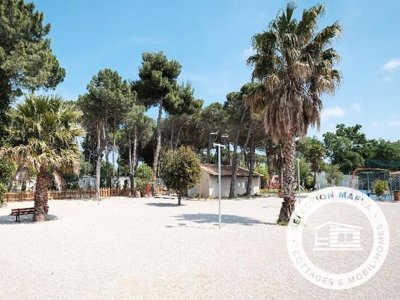 camping Taxo Les Pins photo 24