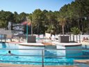 camping Taxo Les Pins photo 6