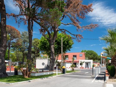 Cliquez pour découvrir toutes les photos de l'ÉTABLISSEMENT ! établissement Club Le Littoral photo 16