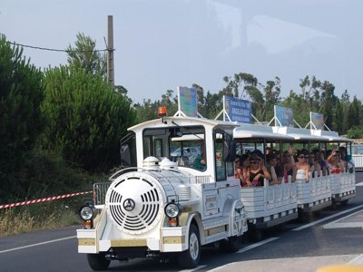 Cliquez pour découvrir toutes les photos de l'ÉTABLISSEMENT ! camping Al Sol photo 20