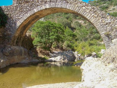 camping Tour Opérateur Sur Camping 5* à Port Grimaud photo 29