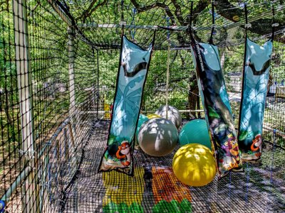 Cliquez pour découvrir toutes les photos de l'ÉTABLISSEMENT ! établissement Le Bois De Valmarie photo 19