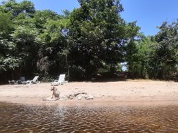 Camping Pas Cher vous présente avec son site Officiel campingpascher.fr, le Camping Ushuaïa Villages Le Viaduc classé 3 étoiles, situé sur la commune de Arlebosc dans le département Ardèche (Rhône Alpes) en France. Le camping Ushuaïa Villages Le Viaduc, vous présente un hébergement de type hébergement insolite de 27 m² pour 4 personnes. Le camping Ushuaïa Villages Le Viaduc vous propose du mercredi 15 avril au mercredi 22 avril 2026 pour 7 nuits à 323€. Cette location propose 145 dates différentes pour réserver votre séjour. Découvrez également les 22 autres gammes d'hébergements du camping. Les Avis clients pour le Camping Ushuaïa Villages Le Viaduc sont excellents avec une note moyenne de 8 sur 10. LacRivière, Piscine couverte, Piscine extérieure, Aire de jeux enfants, Centre équestre, Court de tennis, Cyclisme, Golf, Parcours sportif, Ping-pong, Pétanque, Randonnée, Terrain de badminton, Terrain de volley-ball, Trampoline, Bar, Boulangerie, Bureau de tabac, Restaurant, Station-service, Supermarché, Épicerie,... En savoir plus : cliquez-ICI.