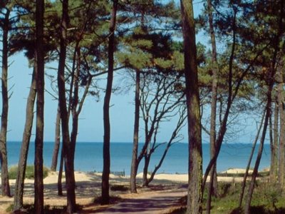 Cliquez pour découvrir toutes les photos de l'ÉTABLISSEMENT ! camping Du Petit Pont photo 4
