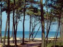 Cliquez pour découvrir toutes les photos de l'ÉTABLISSEMENT ! camping Du Petit Pont photo 4