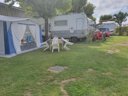 Cliquez pour découvrir toutes les photos de l'ÉTABLISSEMENT ! camping Du Petit Pont photo 8