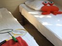 Cliquez pour découvrir toutes les photos de l'HÉBERGEMENT ! mobil-home - camping Campilo photo 4