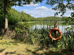 Camping Pas Cher vous présente avec son site Officiel campingpascher.fr, le Camping Campilo classé 4 étoiles, situé sur la commune de Aubigny dans le département Vendée (Pays De La Loire) en France. Le camping Campilo, vous présente un hébergement de type mobil-home de 30 m² et télévision. Le camping Campilo vous proposeun séjour PAS CHER avec une REMISEdu sam. 02 mai au sam. 09 mai 2026, en promotion à -38% pour 7 nuits à 209 € au lieu de 339,0 € soit une Économie de 130 €. Cette location propose 23 dates différentes pour réserver votre séjour. Découvrez également les 16 autres gammes d'hébergements du camping. Les Avis clients pour le Camping Campilo sont excellents avec une note moyenne de 8 sur 10. MerÉtang, Lagon, Piscine couverte, Animations familiales, Club ados, Club enfants, Aire de jeux enfants, Centre équestre, Court de tennis, Cyclisme, Golf, Ping-pong, Pétanque, Randonnée, Terrain multisports, Trampoline, Bar, Boulangerie, Dépôt de pain, Plats à emporter, Snack/Bar, Station-service, Supermarché, Épicerie,... En savoir plus : cliquez-ICI.