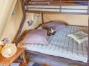 Cliquez pour découvrir toutes les photos de l'HÉBERGEMENT ! bungalow toilé - camping Le Braou photo 2