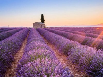 Cliquez pour découvrir toutes les photos de l'ÉTABLISSEMENT ! camping Maeva Escapades L'Emeraude Du Verdon photo 22