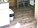 Cliquez pour découvrir toutes les photos de l'HÉBERGEMENT ! mobil-home - camping Landes Bleues photo 3
