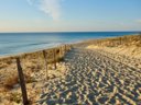 Cliquez pour découvrir toutes les photos de l'ÉTABLISSEMENT ! camping Landes Bleues photo 9