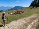 Cliquez pour découvrir toutes les photos de l'ÉTABLISSEMENT ! résidence Goélia Le Sornin photo 5