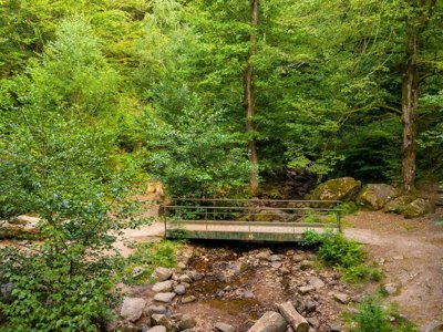 Cliquez pour découvrir toutes les photos de l'ÉTABLISSEMENT ! camping D'Autun photo 6