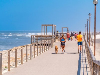 établissement Vagueira photo 18
