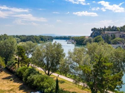 Cliquez pour découvrir toutes les photos de l'ÉTABLISSEMENT ! établissement Du Pont D'Avignon photo 14
