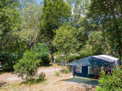 Cliquez pour découvrir toutes les photos de l'ÉTABLISSEMENT ! établissement Du Pont D'Avignon photo 16