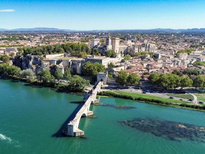 Cliquez pour découvrir toutes les photos de l'ÉTABLISSEMENT ! établissement Du Pont D'Avignon photo 25