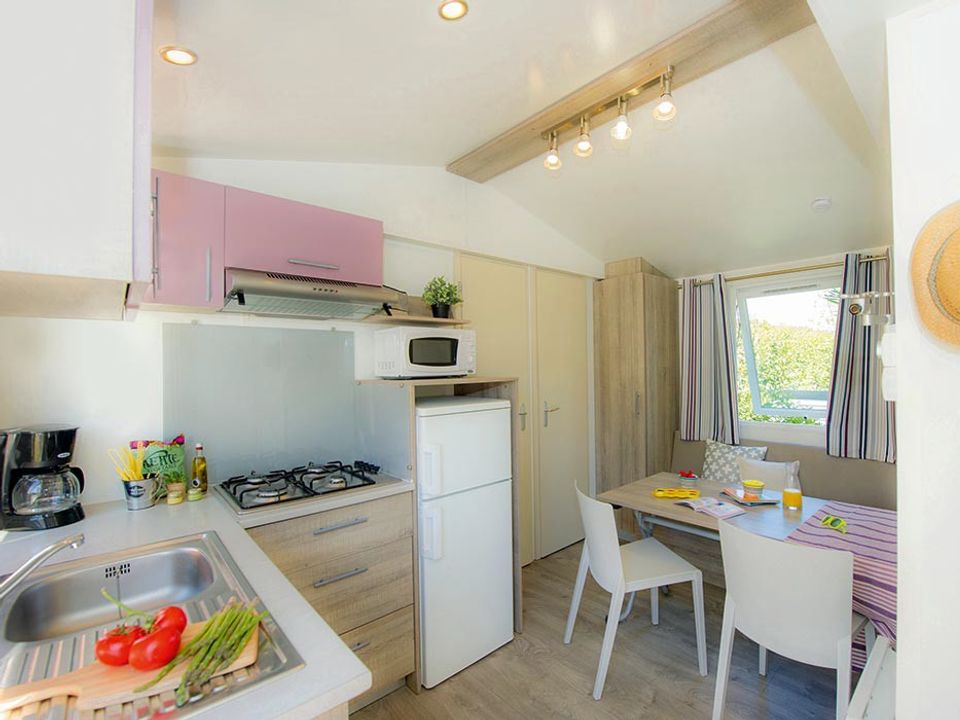 mobil-home - établissement Zagarella - Paradis photo 4