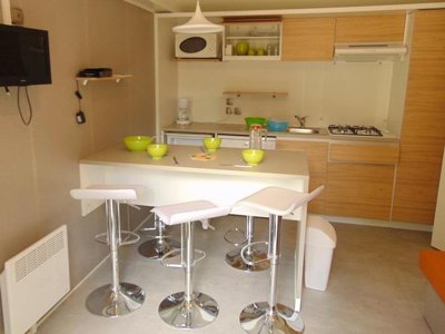 Cliquez pour découvrir toutes les photos de l'HÉBERGEMENT ! mobil-home - Flower Beauchêne photo 2