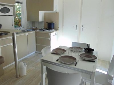 Cliquez pour découvrir toutes les photos de l'HÉBERGEMENT ! mobil-home - Flower Beauchêne photo 4