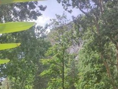 camping Le Moulin Du Pont D'Alies photo 23