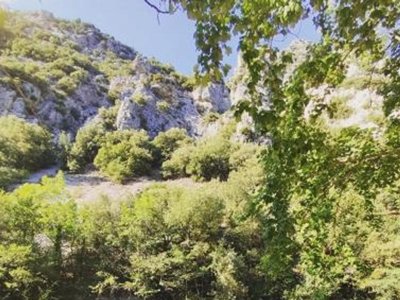 camping Le Moulin Du Pont D'Alies photo 24