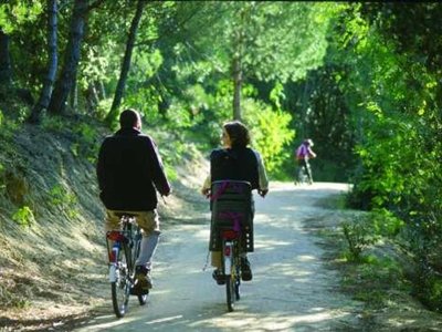Cliquez pour découvrir toutes les photos de l'ÉTABLISSEMENT ! camping Landes Azur photo 23