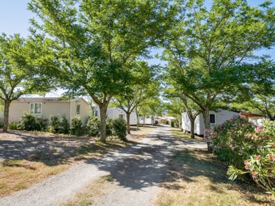 Cliquez pour découvrir toutes les photos de l'ÉTABLISSEMENT ! établissement Beaume Giraud photo 27