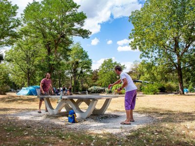 camping De L'Ile photo 11