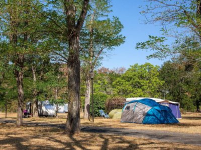 camping De L'Ile photo 16