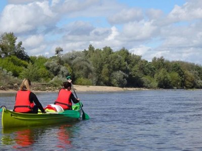 camping De L'Ile photo 4