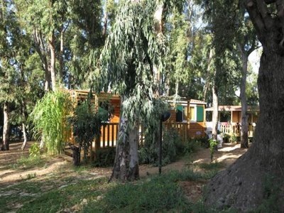 mobil-home - Ultima Spiaggia photo 2