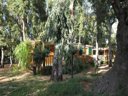 mobil-home - camping Ultima Spiaggia photo 2