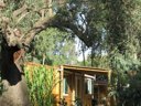 mobil-home - camping Ultima Spiaggia photo 4