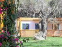 Cliquez pour découvrir toutes les photos de l'HÉBERGEMENT ! mobil-home - camping Ultima Spiaggia photo 9