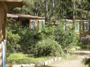 mobil-home - camping Ultima Spiaggia photo 2