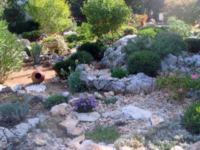 établissement La Buissiere photo 19