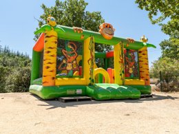 Camping Pas Cher vous présente avec son site Officiel campingpascher.fr, le Camping La Buissière classé 3 étoiles, situé sur la commune de Barjac dans le département Gard (Languedoc Roussillon) en France. Le camping La Buissière, vous présente un hébergement de type mobil-home de 28 m² avec climatisation et télévision. Le camping La Buissière vous propose du vendredi 03 avril au vendredi 10 avril 2026, en promotion à -15% pour 7 nuits à 273,70 € au lieu de 322,0 € soit une Économie de 48,30 €. Cette location propose 125 dates différentes pour réserver votre séjour. Découvrez également les 6 autres gammes d'hébergements du camping. Les Avis clients pour le Camping La Buissière sont excellents avec une note moyenne de 8 sur 10. Rivière, Parc aquatique, Piscine extérieure, Animations familiales, Club enfants, Aire de jeux enfants, Canoë-kayak, Canyoning, Ping-pong, Pétanque, Randonnée, Structure gonflable enfants, Snack/Bar, Épicerie,... En savoir plus : cliquez-ICI.