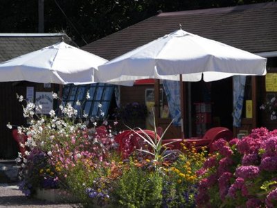 Cliquez pour découvrir toutes les photos de l'ÉTABLISSEMENT ! camping La Gerfleur photo 10