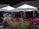 Cliquez pour découvrir toutes les photos de l'ÉTABLISSEMENT ! camping La Gerfleur photo 10